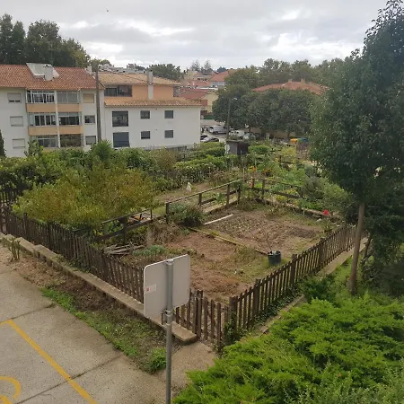 Pinewood Apartment